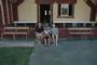us with mike and his daughter outside of his marae in te karaka