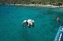 craig diving off the boat on our nha trang snorkeling trip