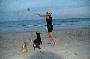 tina playing fetch with the loca dogs on our beach in mui ne